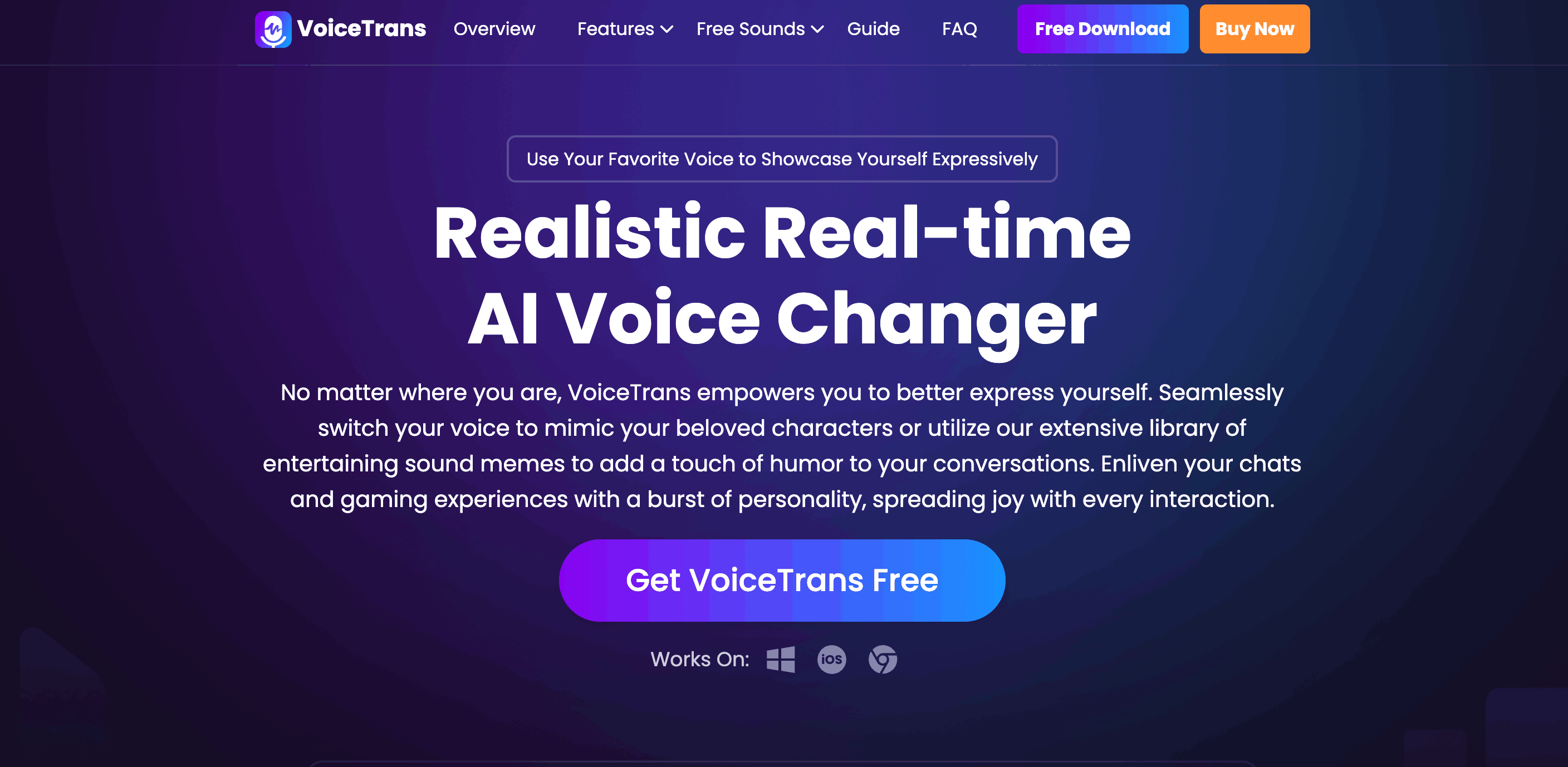 VoiceTrans