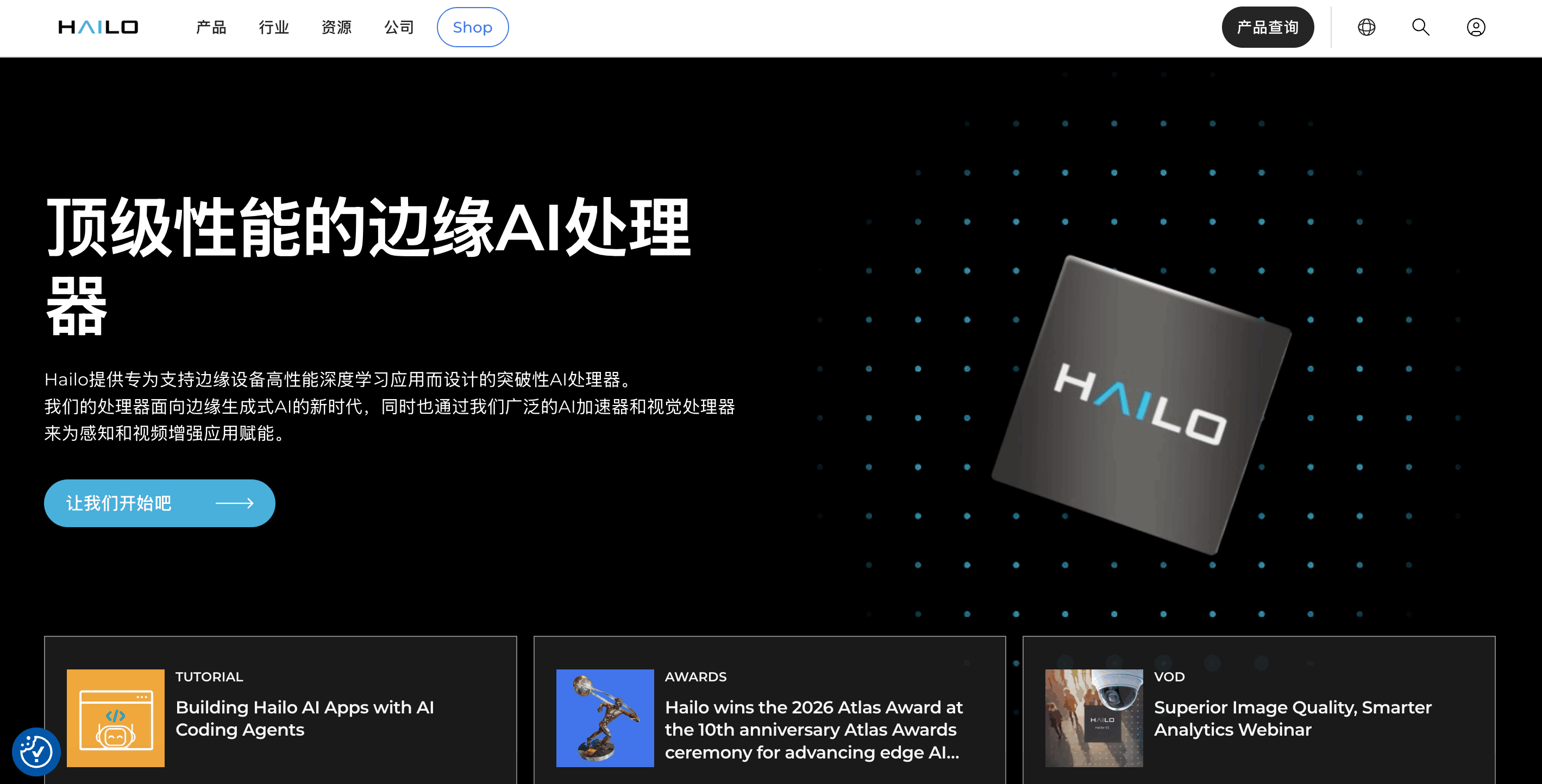 Hailo AI