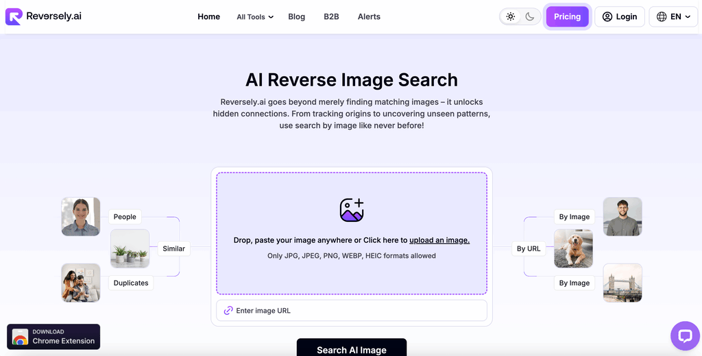 Reversely.ai