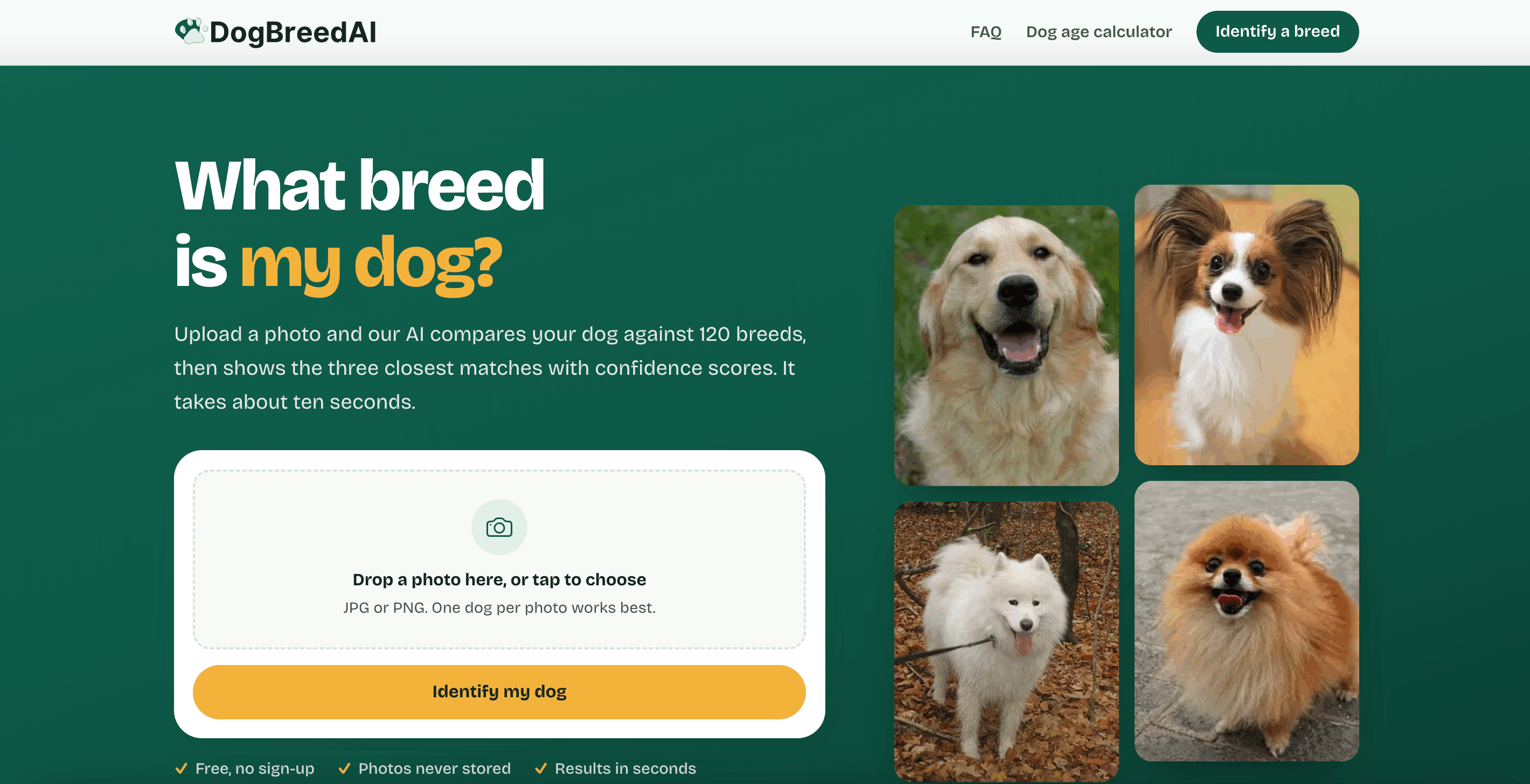 DogBreedAI